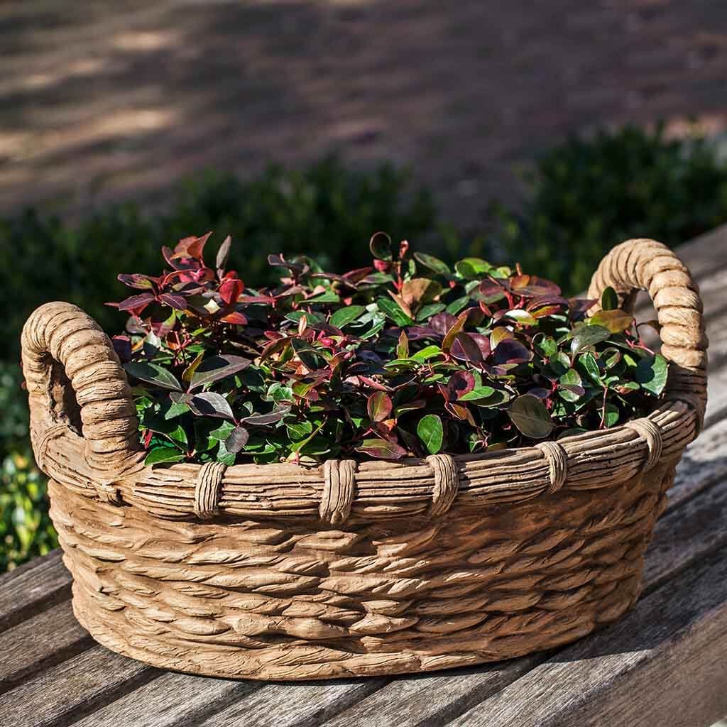 Provencal Basket Planter