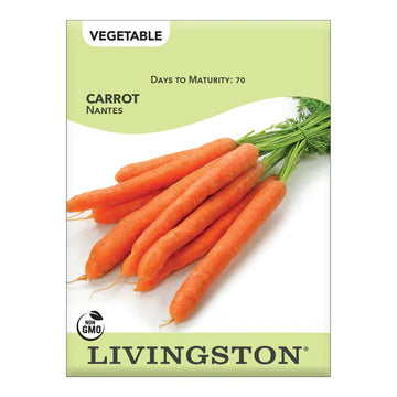 Carrot-Nantes Seed