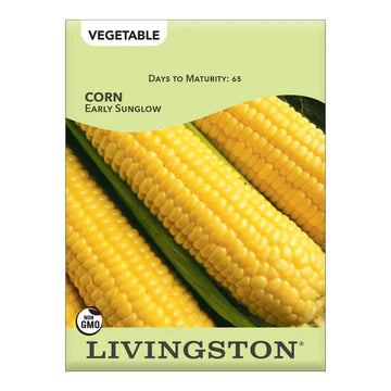 Corn-Early Sunglow Seed