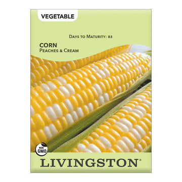Corn-Peaches and Cream Seed