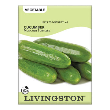 Cucumber-Muncher Burpless