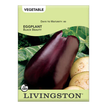 Eggplant-Black Beauty Seed