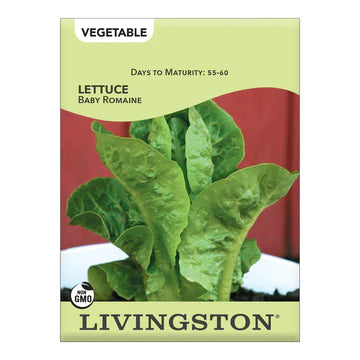 Lettuce-Baby Romaine Seed