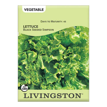 Lettuce-Black Seeded Simpson Seed