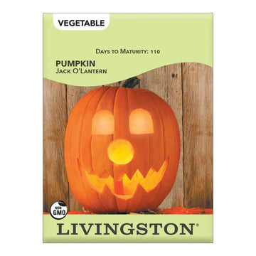 Pumpkin-Jack O'Lantern Seed