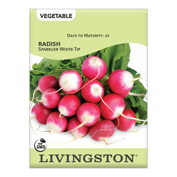 Radish-Sparkler White Tip Seed