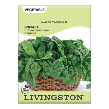 Spinach-Bloomsdale Long Standing Seed