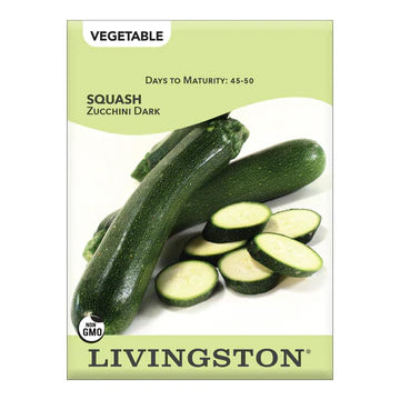 Squash-Zucchini Dark Seed