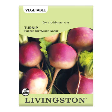 Turnip-Purple Top White Globe Seed