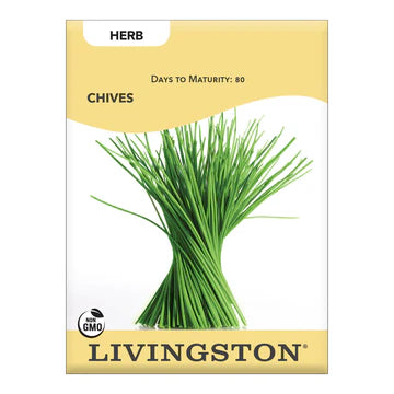 Chives Seed