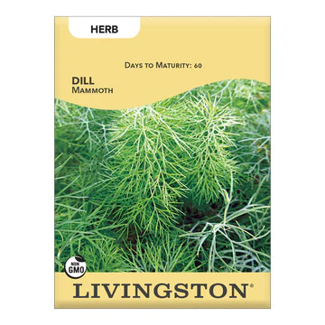 Dill- Mammoth Seed