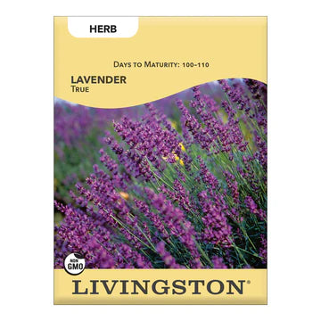 Lavender- True Seed
