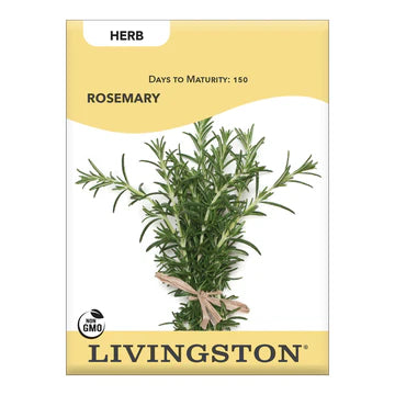 Rosemary Seed