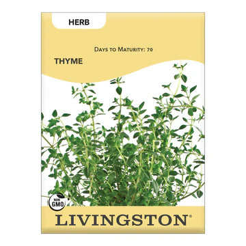 Thyme Seed