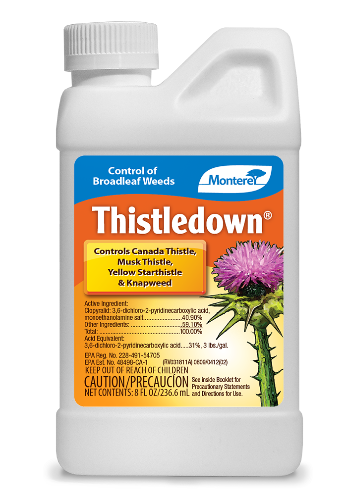 Monterey THISTLEDOWN®