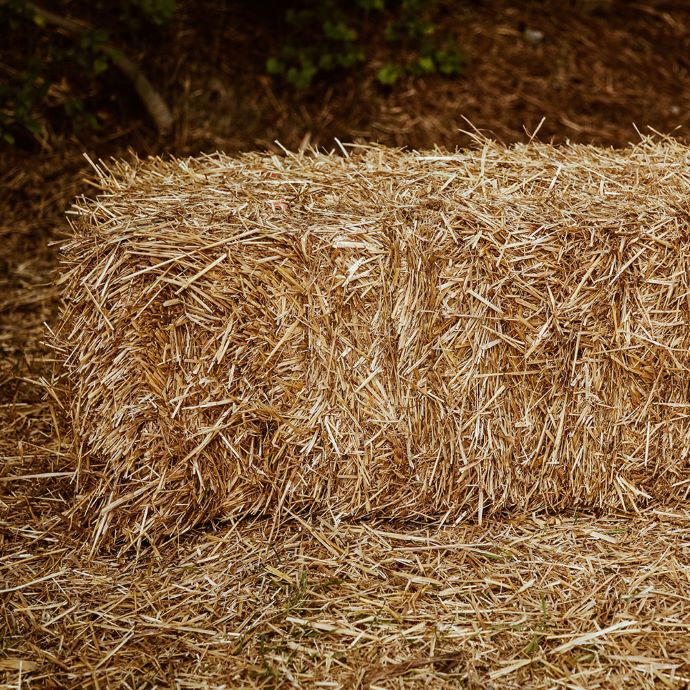 Straw