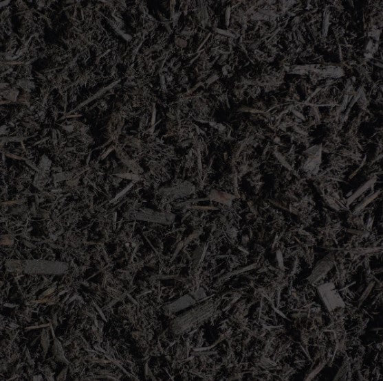 Black Night Mulch
