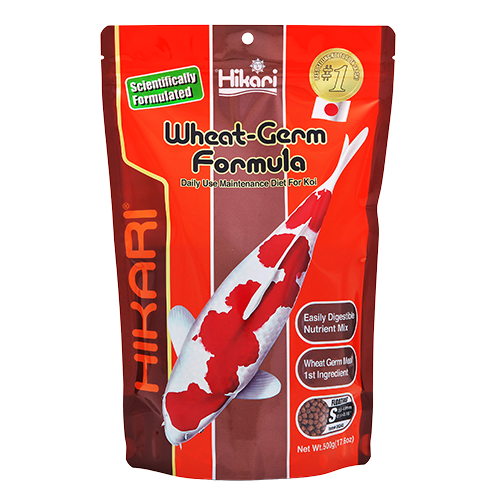 Hikari Wheat Germ